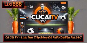 Củ Cải TV – Link Trực Tiếp Bóng Đá Full HD Miễn Phí 24/7